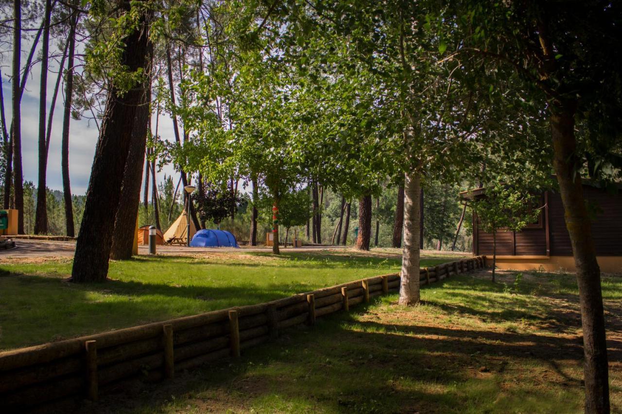 Xisto Camping Janeiro de Baixo Exteriér fotografie