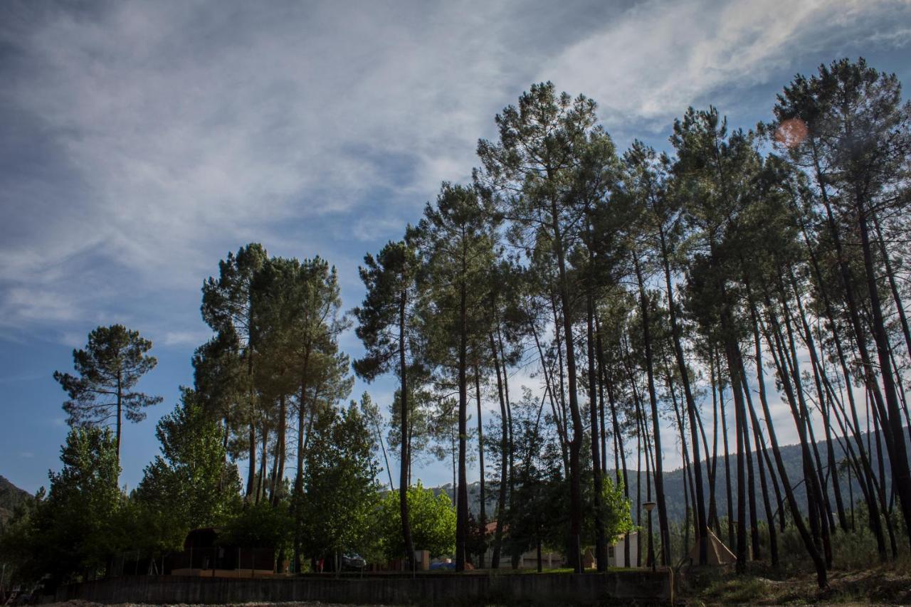 Xisto Camping Janeiro de Baixo Exteriér fotografie