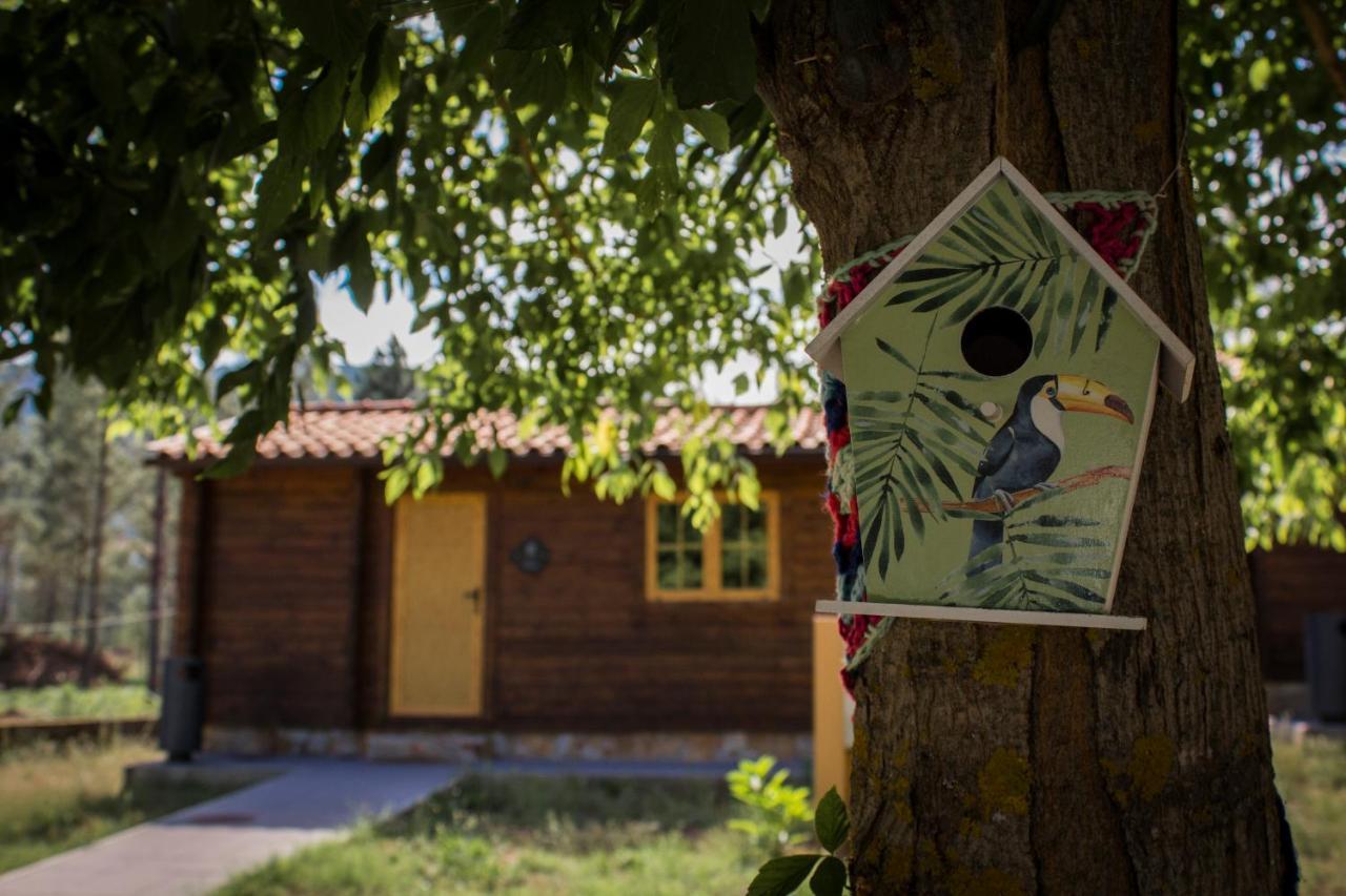 Xisto Camping Janeiro de Baixo Exteriér fotografie